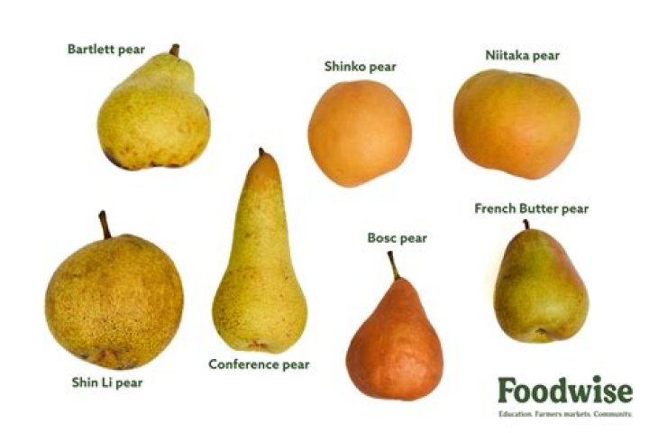 Is pear a source of iron?
