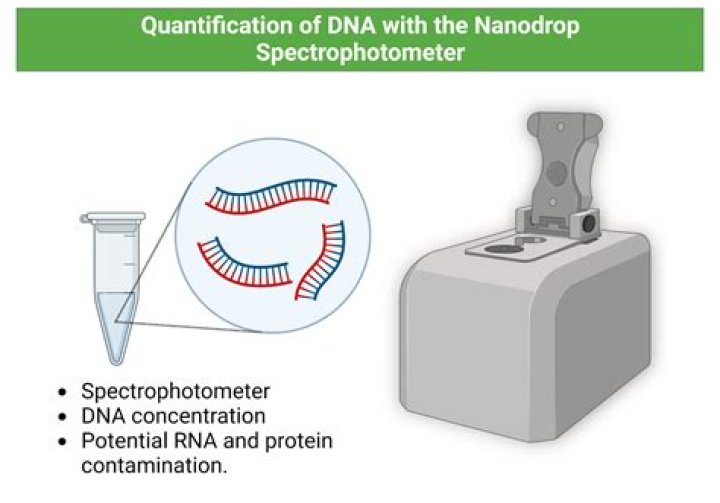 Is qubit or Nanodrop more accurate?