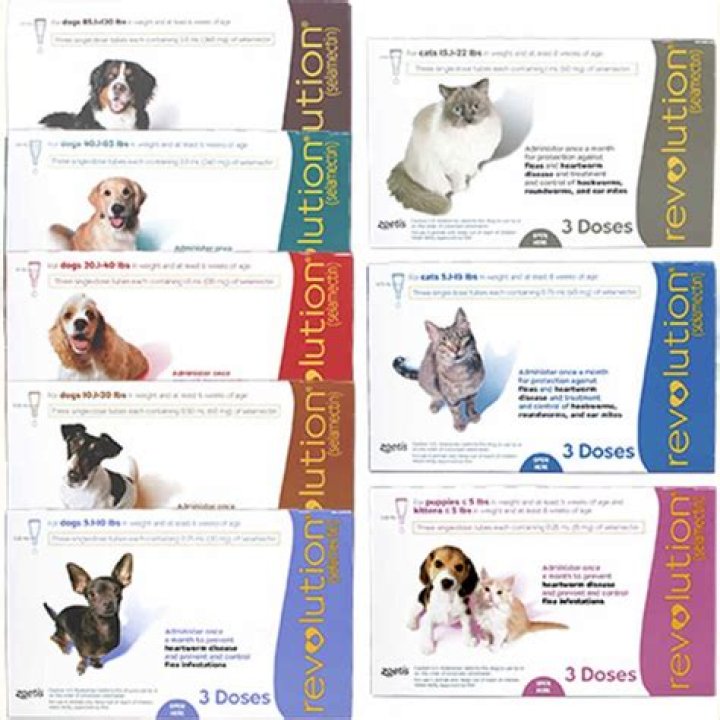 Is revolution toxic to dogs?