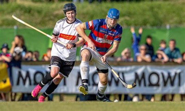 Is shinty older than hurling?