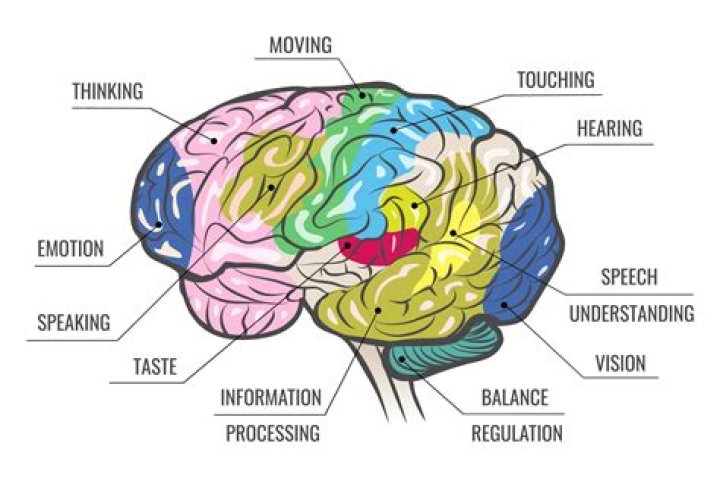 Is taste affected by smell?