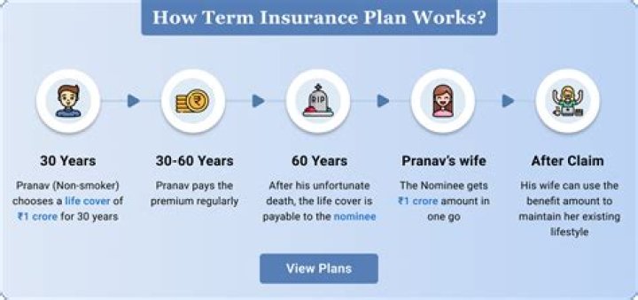 Is term plan covered under 80C?