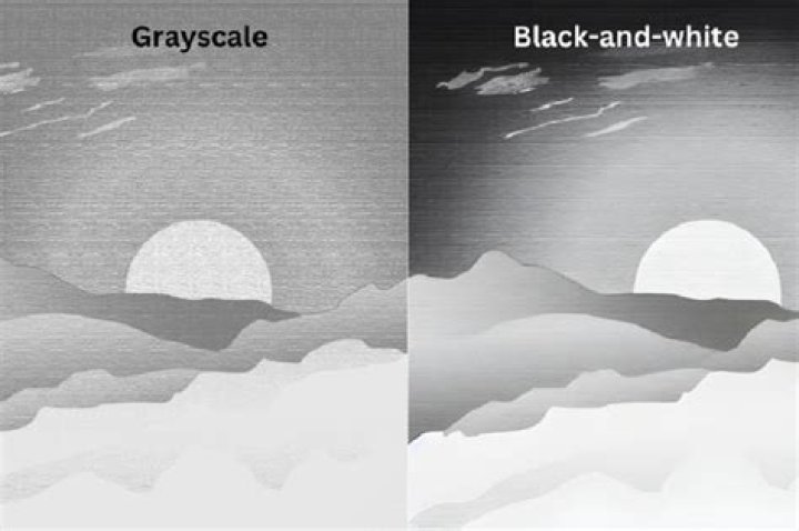 Is there a difference between black and white and grayscale?