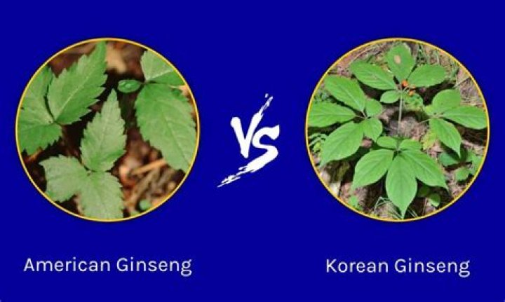 Is there a difference between ginseng and Korean ginseng?