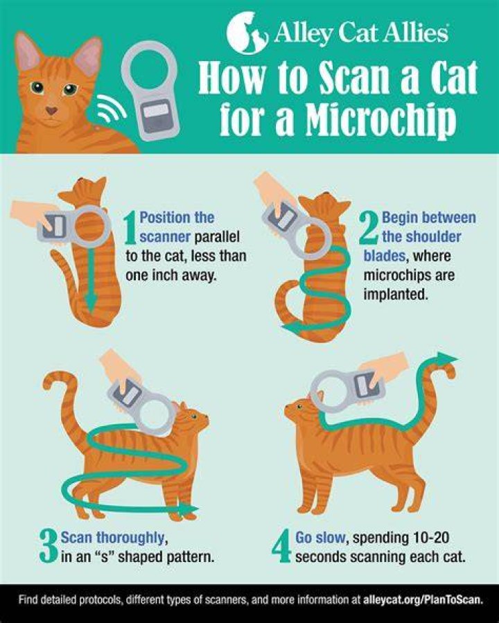 Is there an app to scan pet microchips?