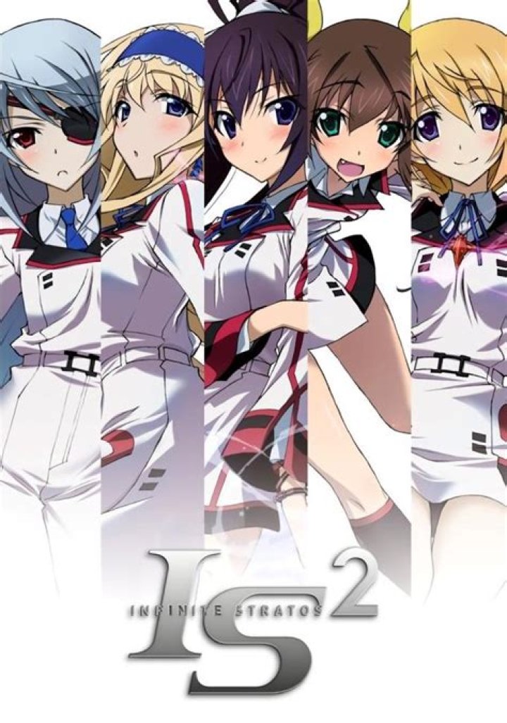 Is there another boy in Infinite Stratos?