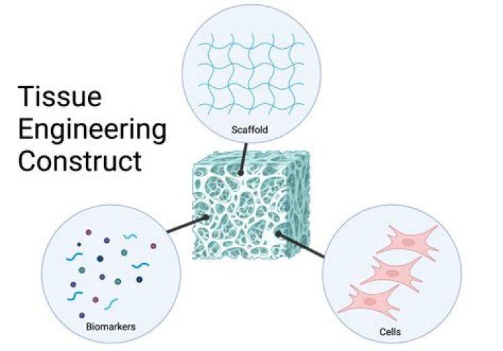 Is tissue engineering a good journal?