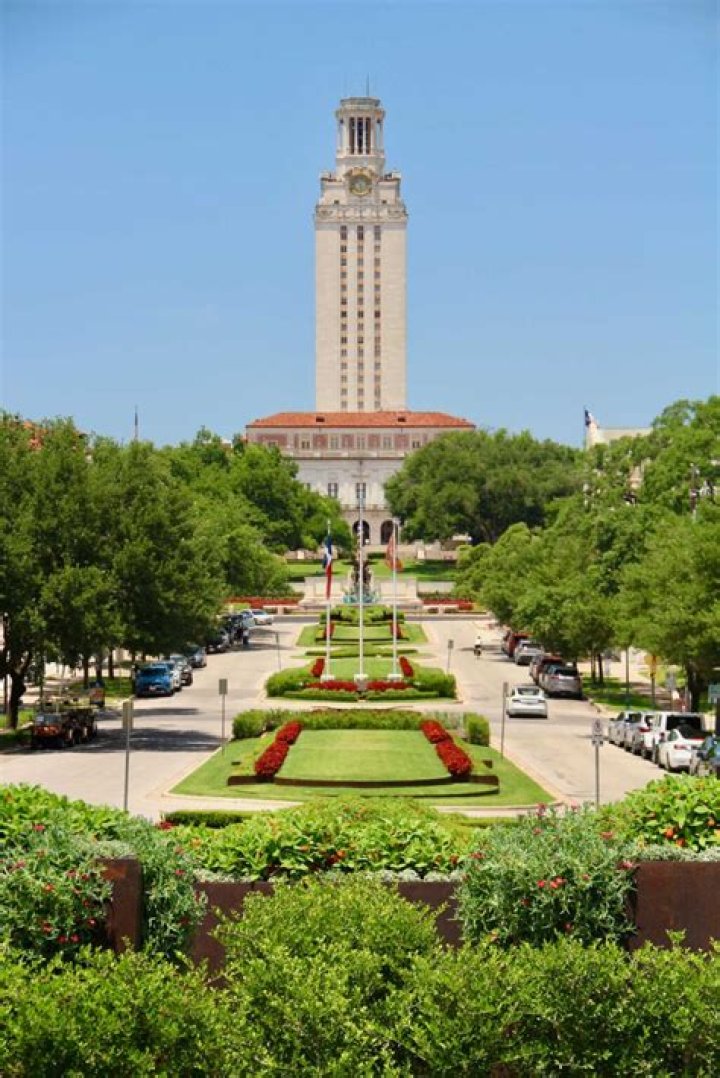 Is UT Austin predominantly white?