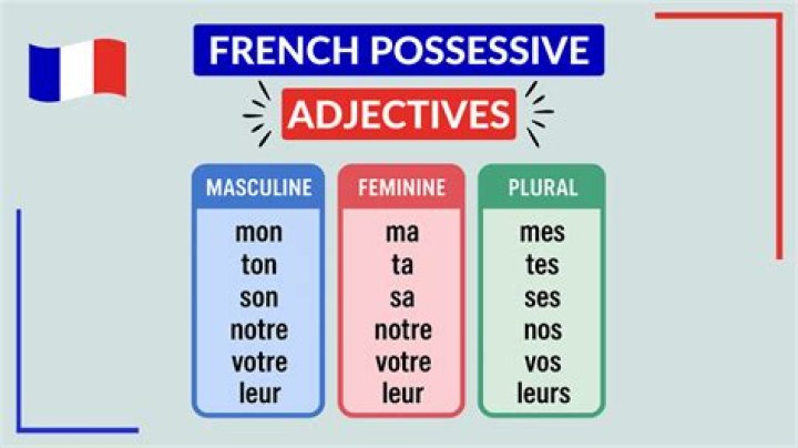 Is votre masculine or feminine?