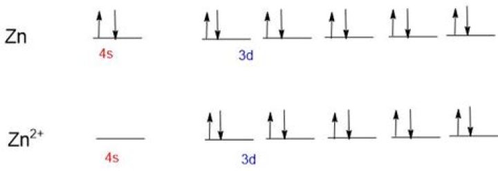 Is Zn2+ paramagnetic or diamagnetic?