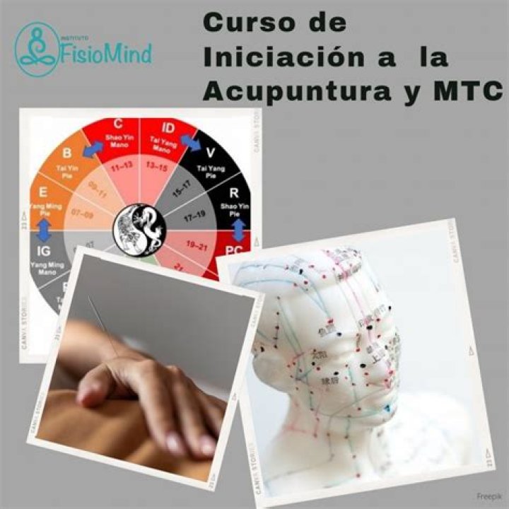 Qual o objetivo do curso acupuntura?