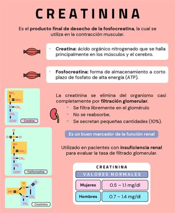 Que significa aumento de creatinina?