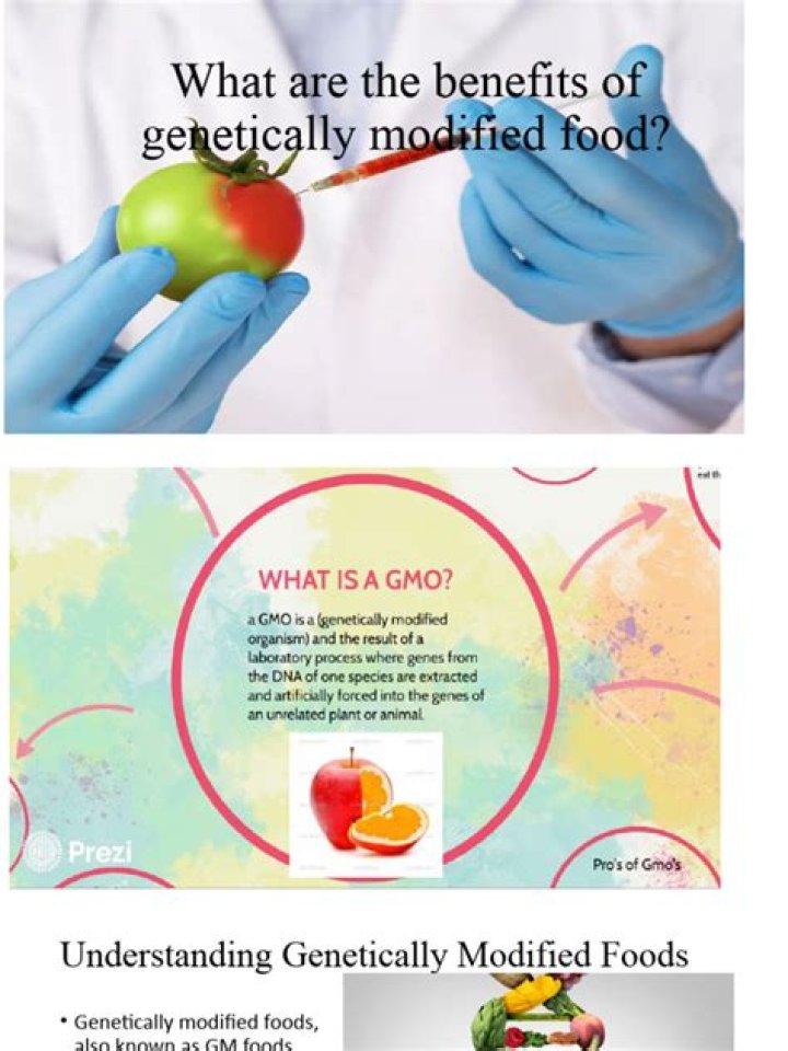 Should genetically modified foods be allowed?