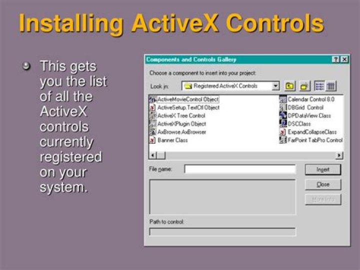 Should I install ActiveX controls?