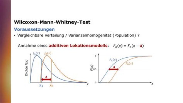 Was macht der Wilcoxon Test?