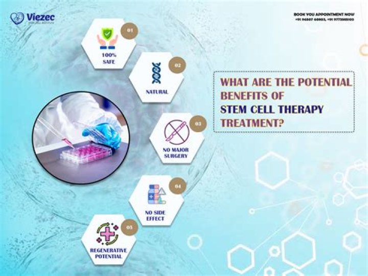 What are 3 potential issues with stem cell research?