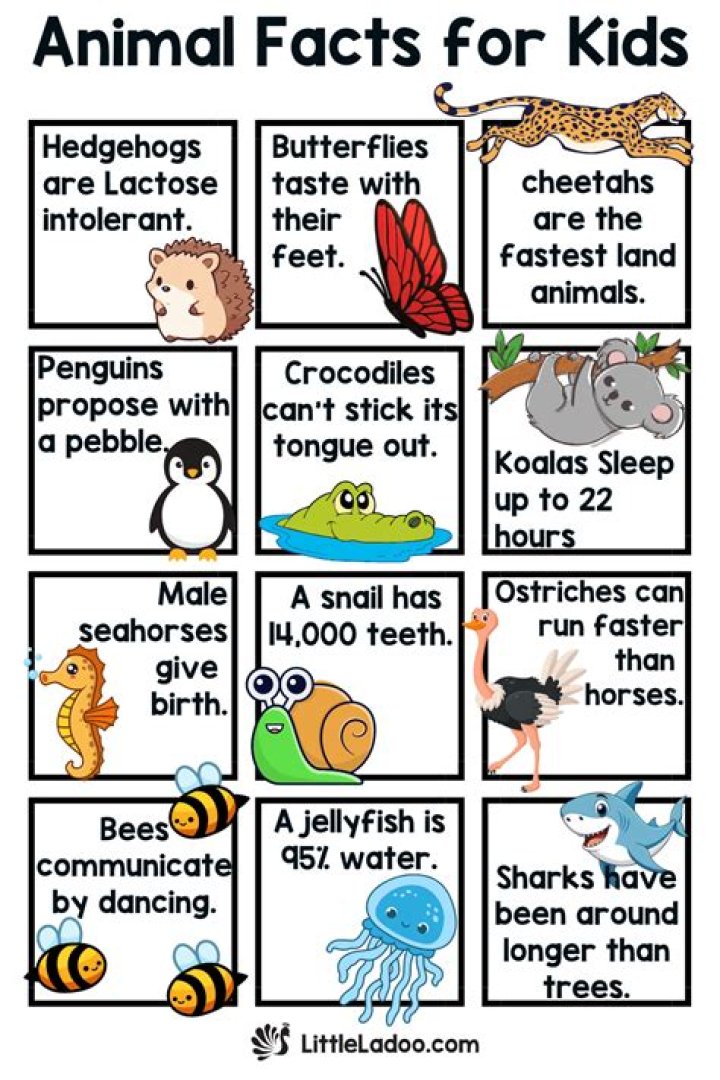 What are 5 interesting facts about water?
