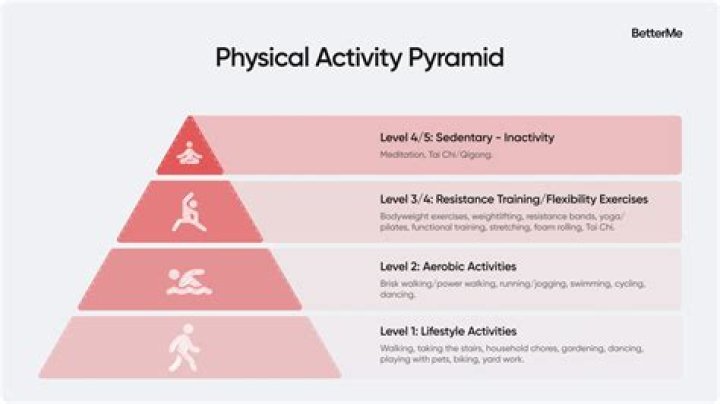 What are benchmarks in physical education?