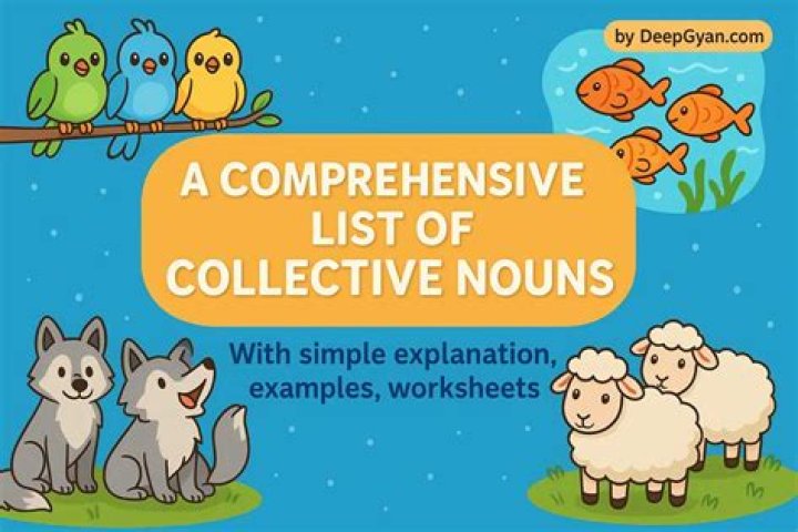What are collective minds?