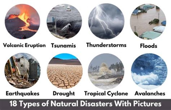What are examples of dispersants?