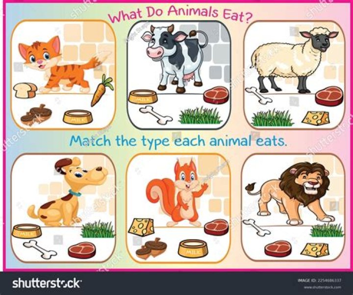What are gelatinous animals?