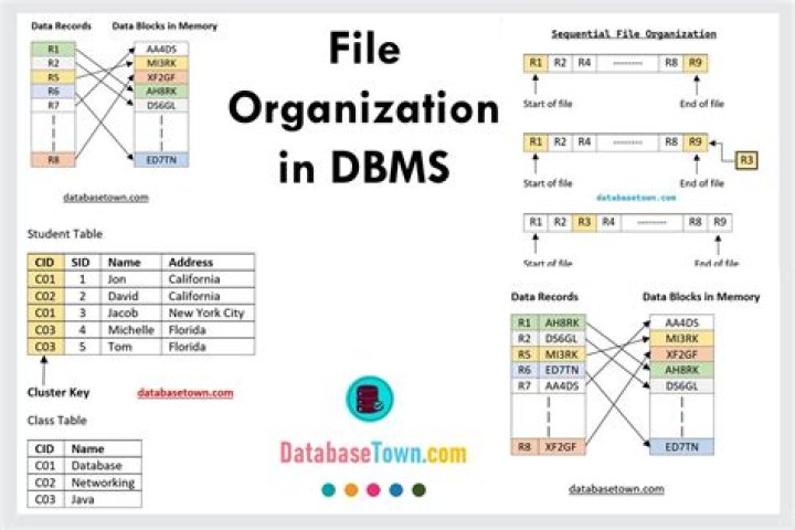 What are indexed data structures?
