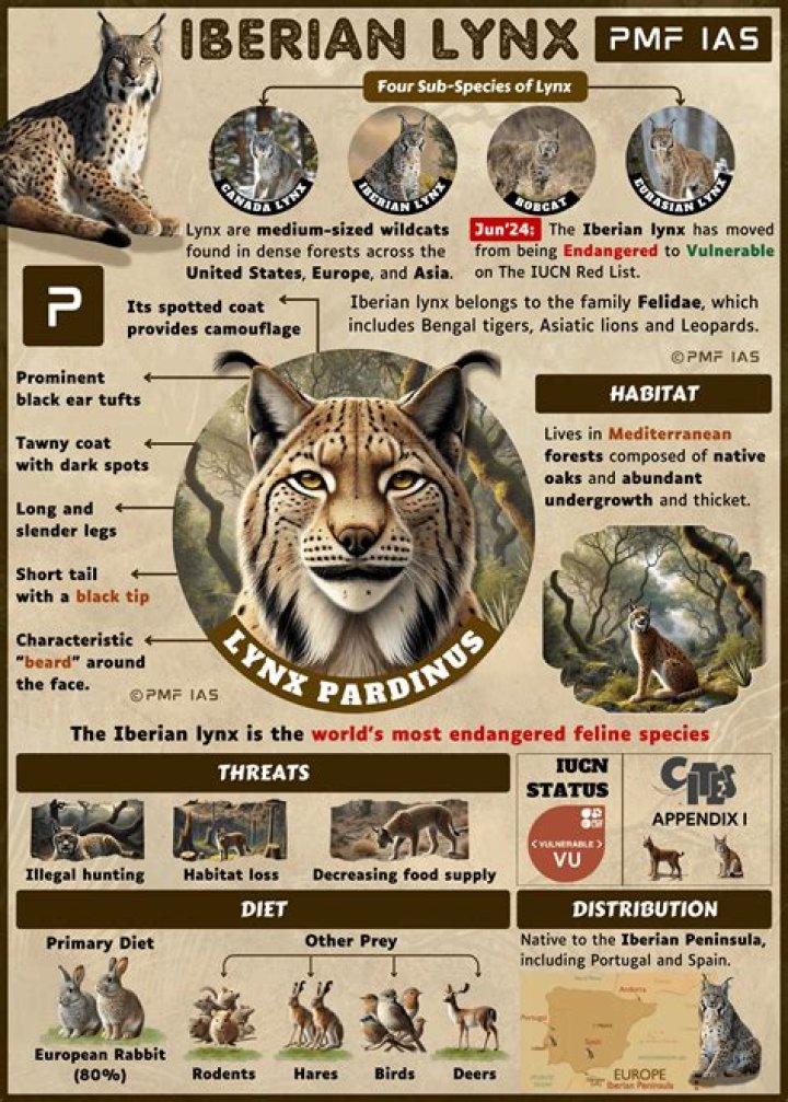 What are lynx used for?