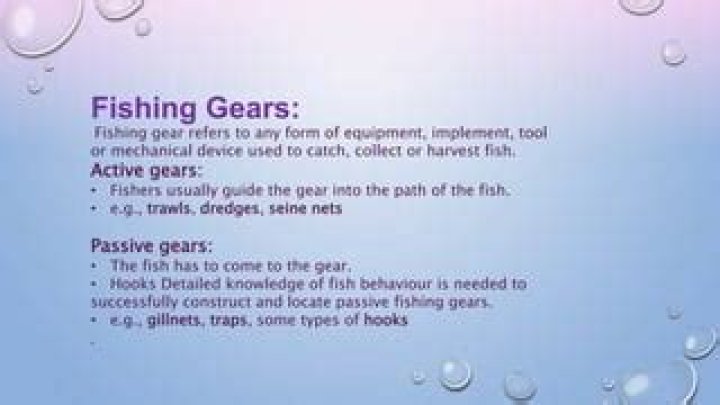 What are passive fishing gears?