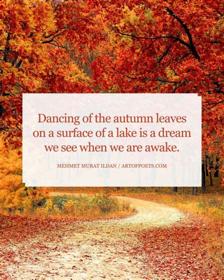 What are some autumn treats?