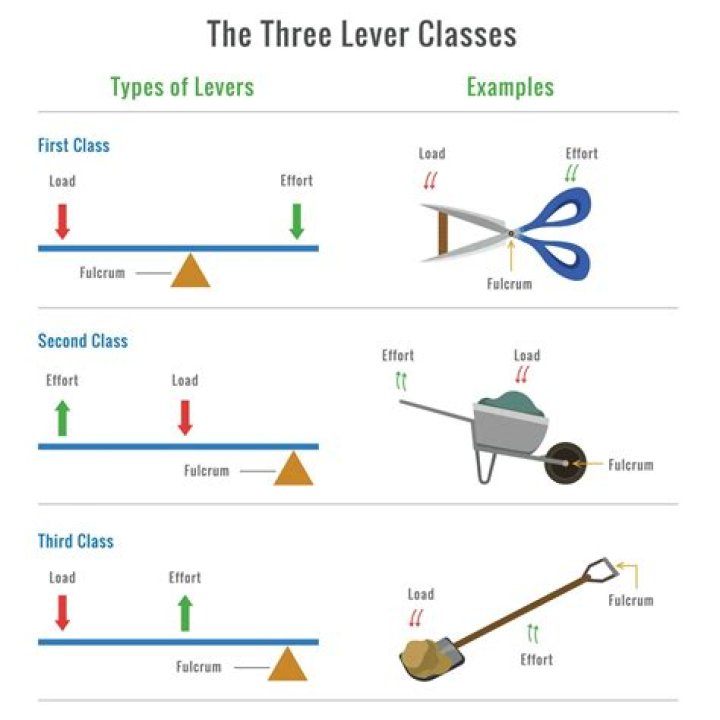 What are some examples of semi solid foods?
