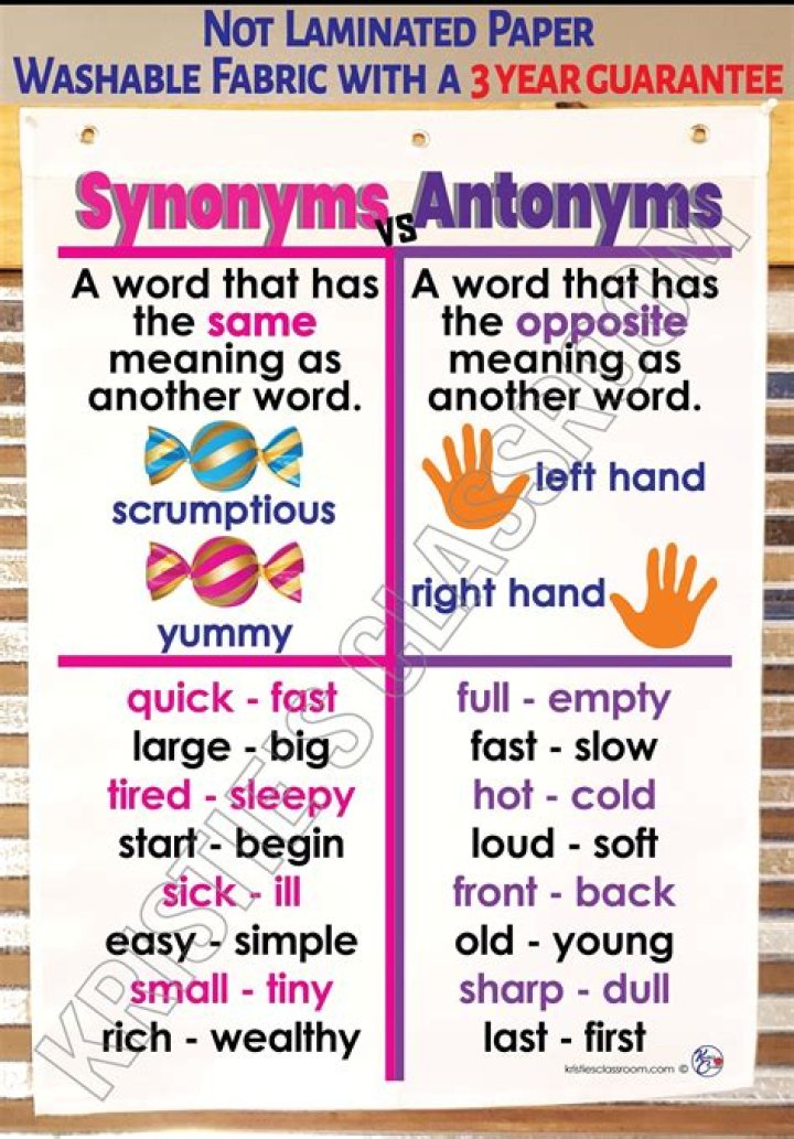 What are synonyms for concealment?