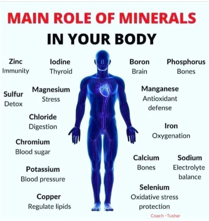 What are the 16 minerals your body needs?