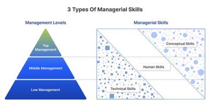 What are the 5 basic managerial skills?