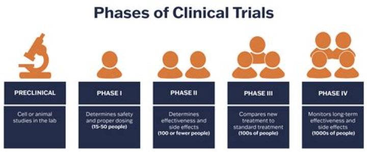 What are the groups in clinical trials?