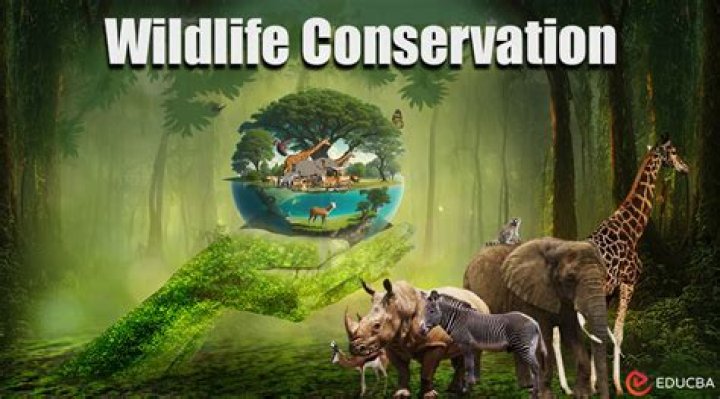 What are the methods for wildlife conservation?