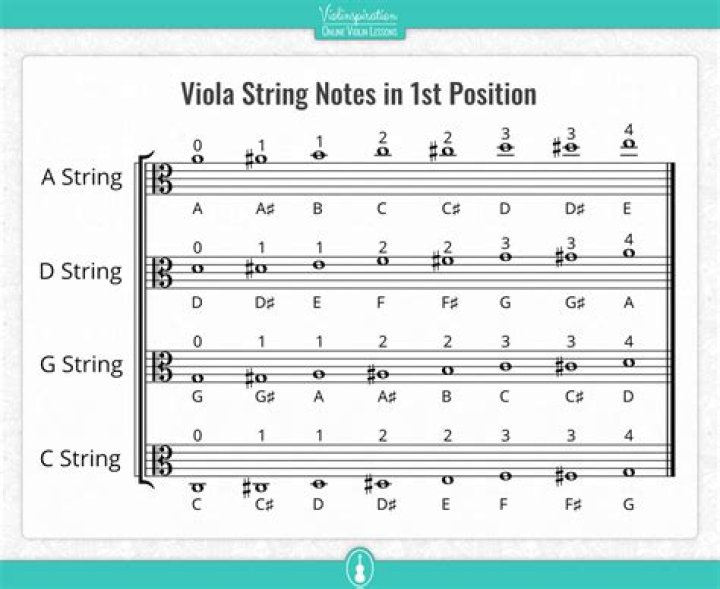 What are the strings on a tenor banjo?