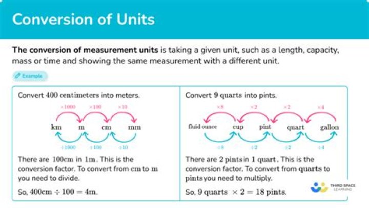 What are the units of word processing?