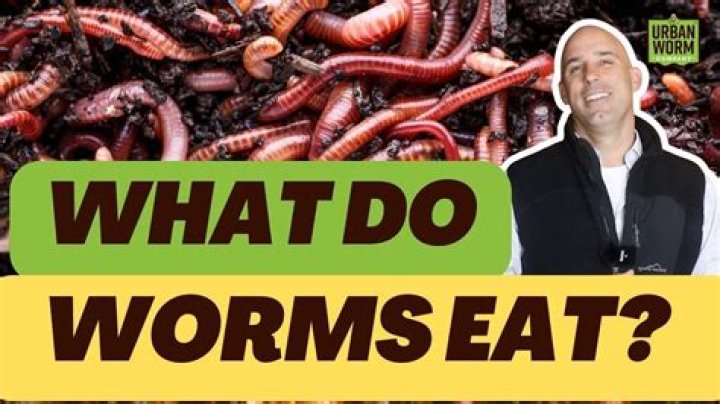 What are the worms that curl up?