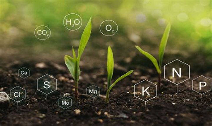 What are three common nutrients found in milk?