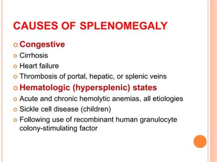 What causes splenomegaly in beta thalassemia?