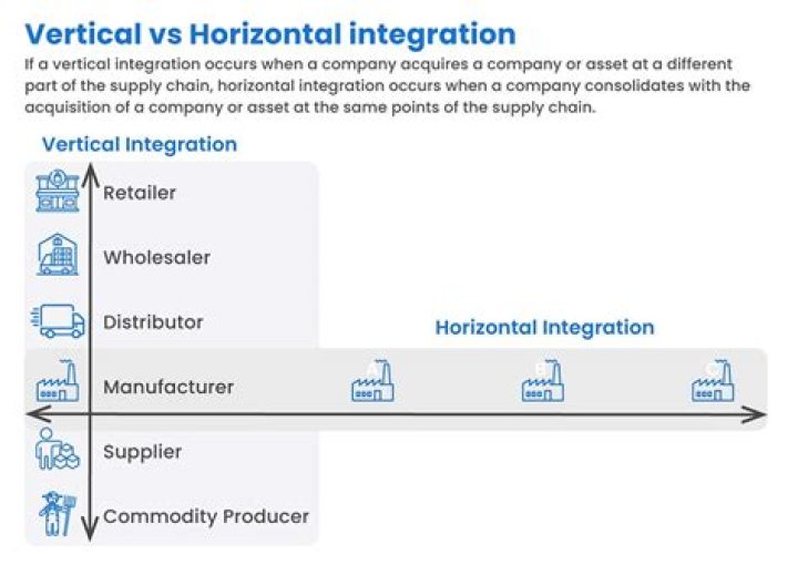 What company is an example of horizontal integration?