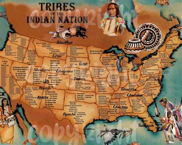 What did the Kwakiutl tribe hunt?