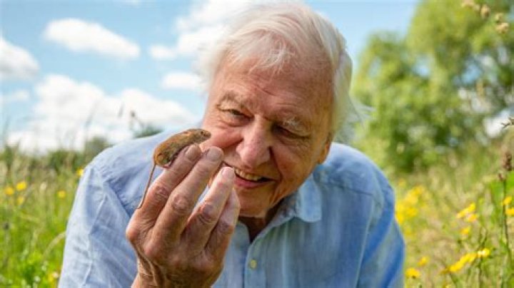 What disease did Richard Attenborough have?