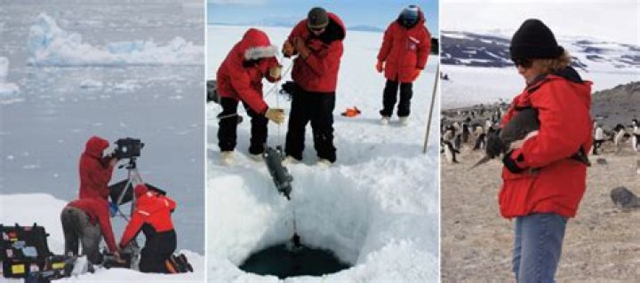 What do Antarctic researchers do?