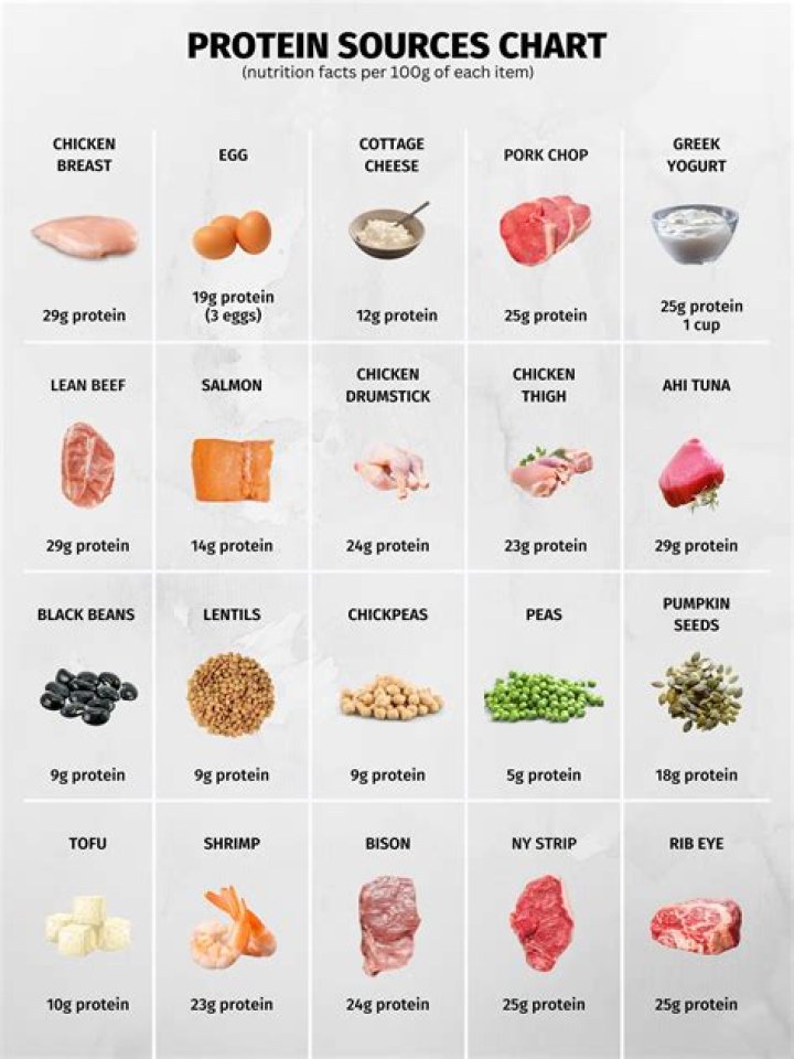 What do I eat on a no carb diet?