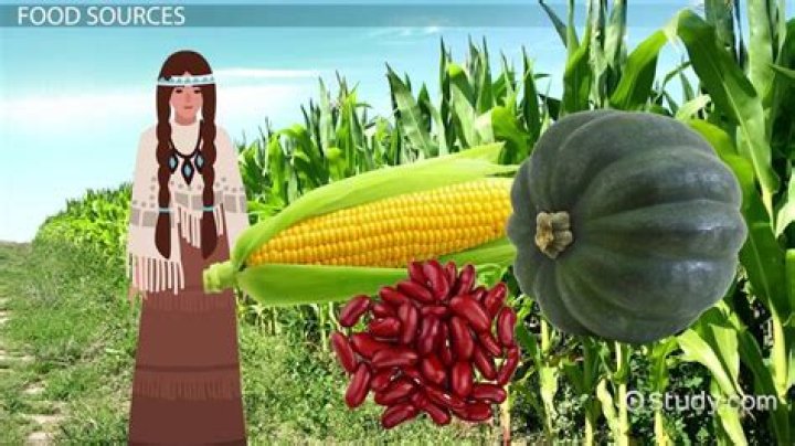 What do Modoc people eat?