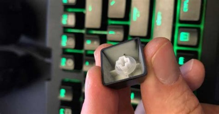 What do O-ring switch dampeners do?