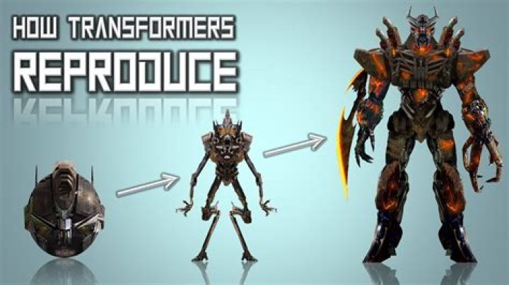 What do Transformers say when they transform?
