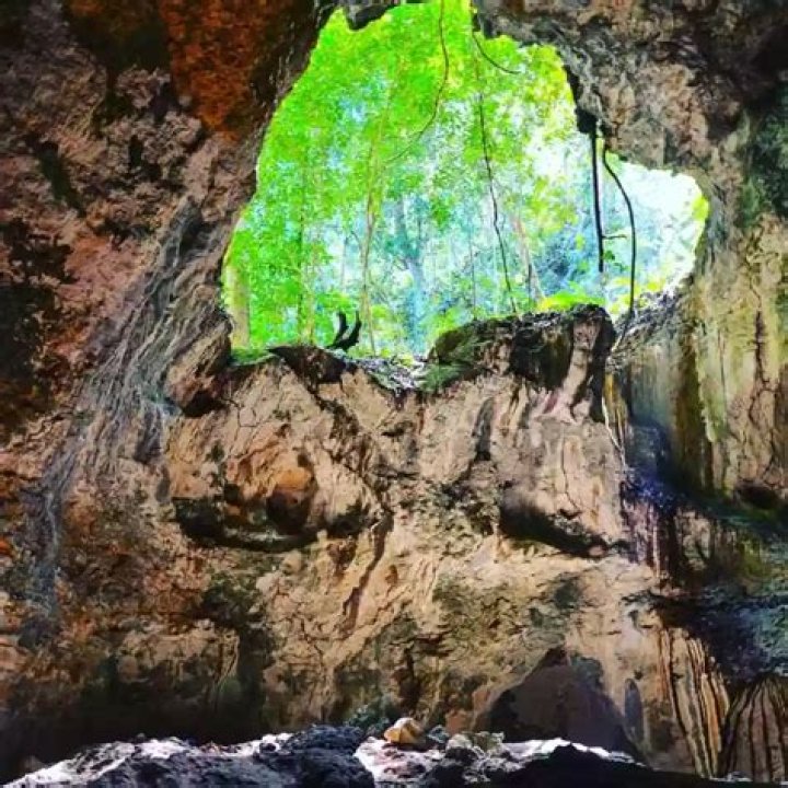 What do you do in Los Haitises National Park?