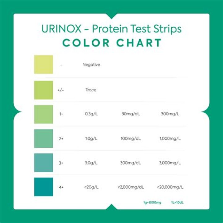 What does 1+ protein in urine test mean?
